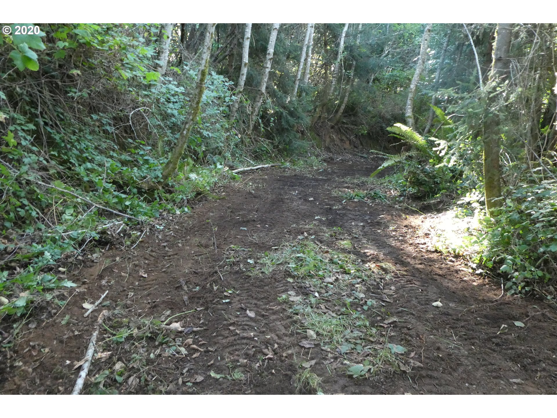Coy Creek Road, Unit 605 Gold Beach, OR 97444 - Photo 29 of 32 Gallery Image 29