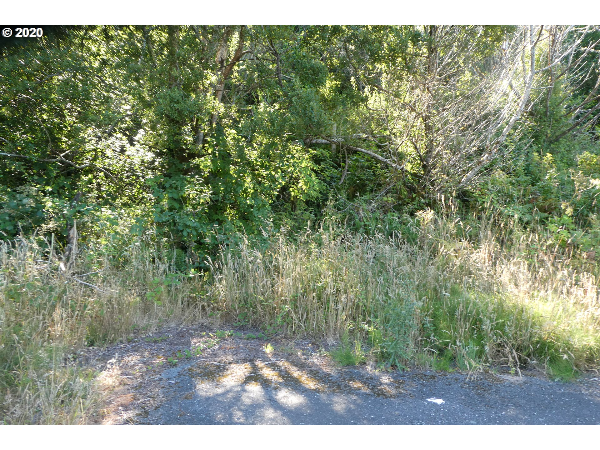 Coy Creek Road, Unit 605 Gold Beach, OR 97444 - Photo 4 of 32 Gallery Image 4