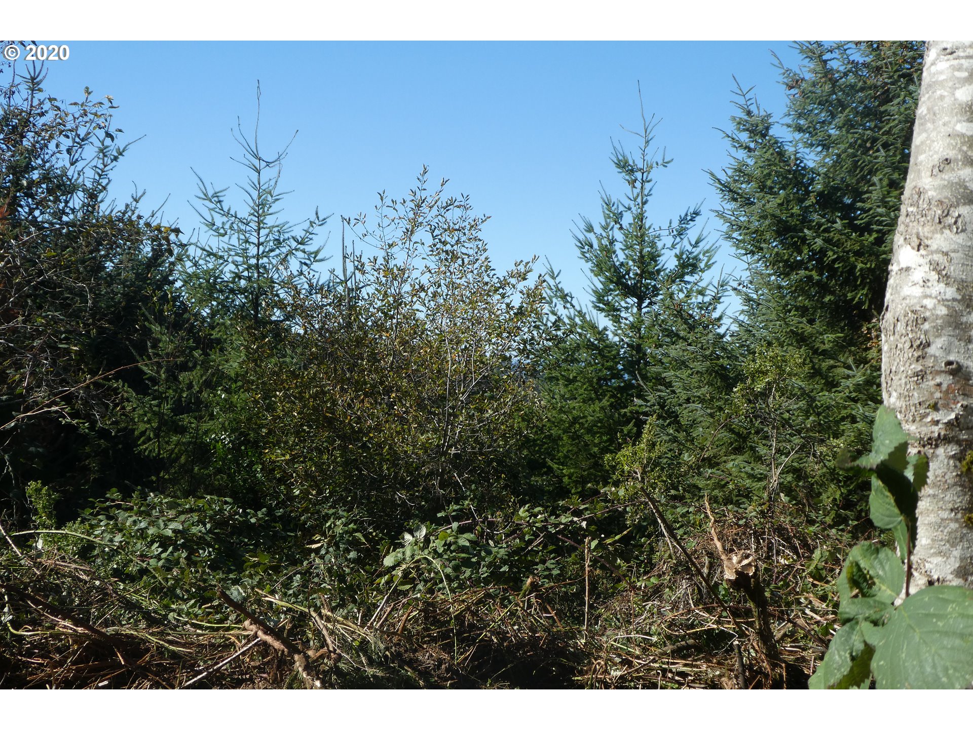 Coy Creek Road, Unit 605 Gold Beach, OR 97444 - Photo 31 of 32 Gallery Image 31