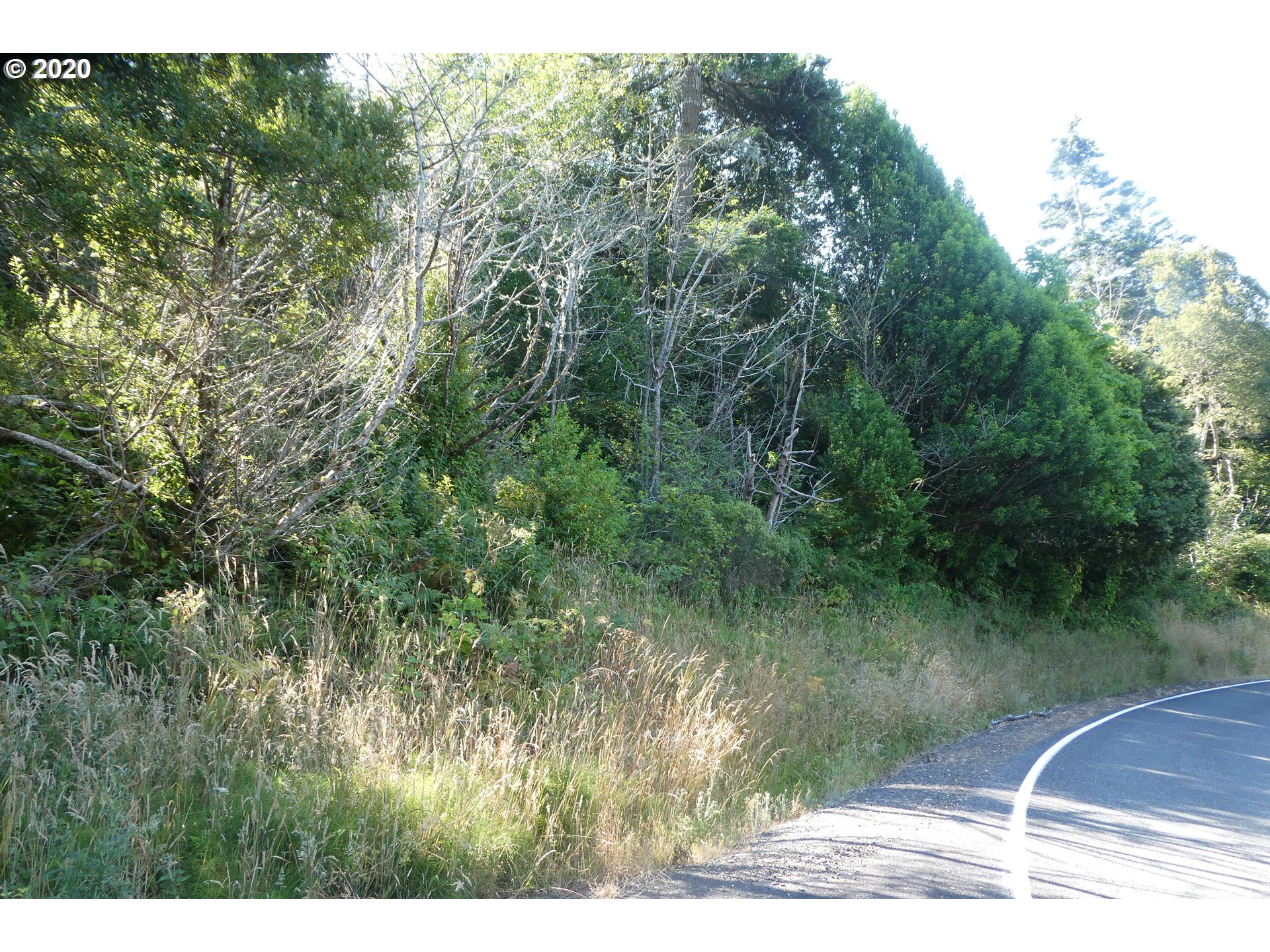 Coy Creek Road, Unit 605 Gold Beach, OR 97444 - Photo 5 of 32 Gallery Image 5