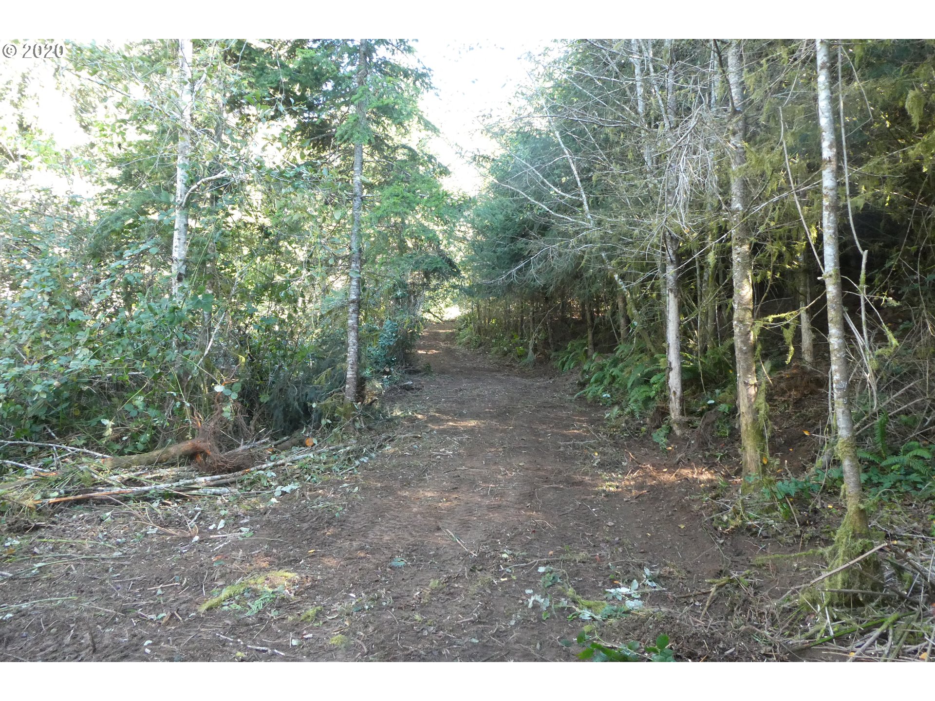 Coy Creek Road, Unit 605 Gold Beach, OR 97444 - Photo 6 of 32 Gallery Image 6