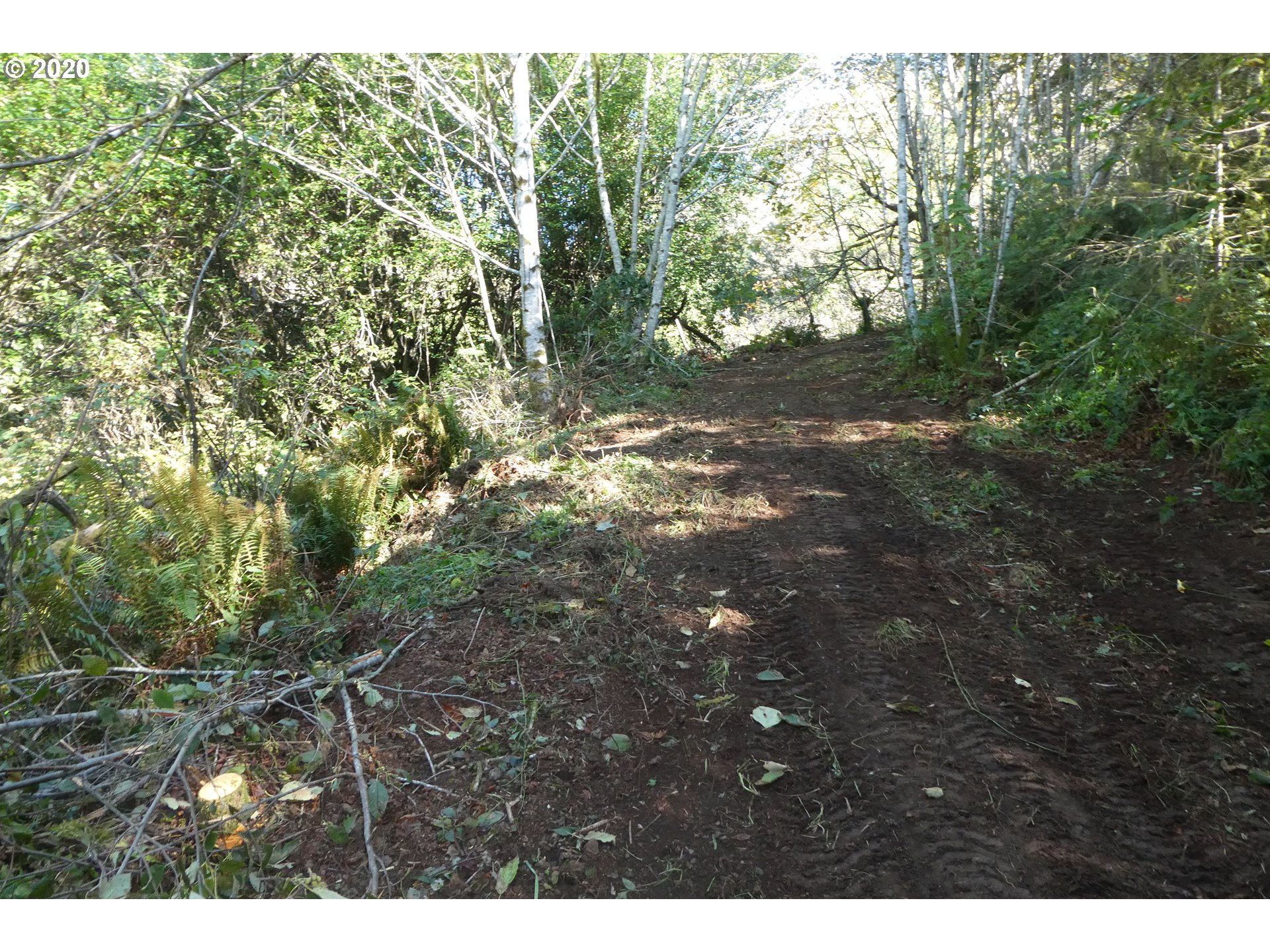 Coy Creek Road, Unit 605 Gold Beach, OR 97444 - Photo 9 of 32 Gallery Image 9