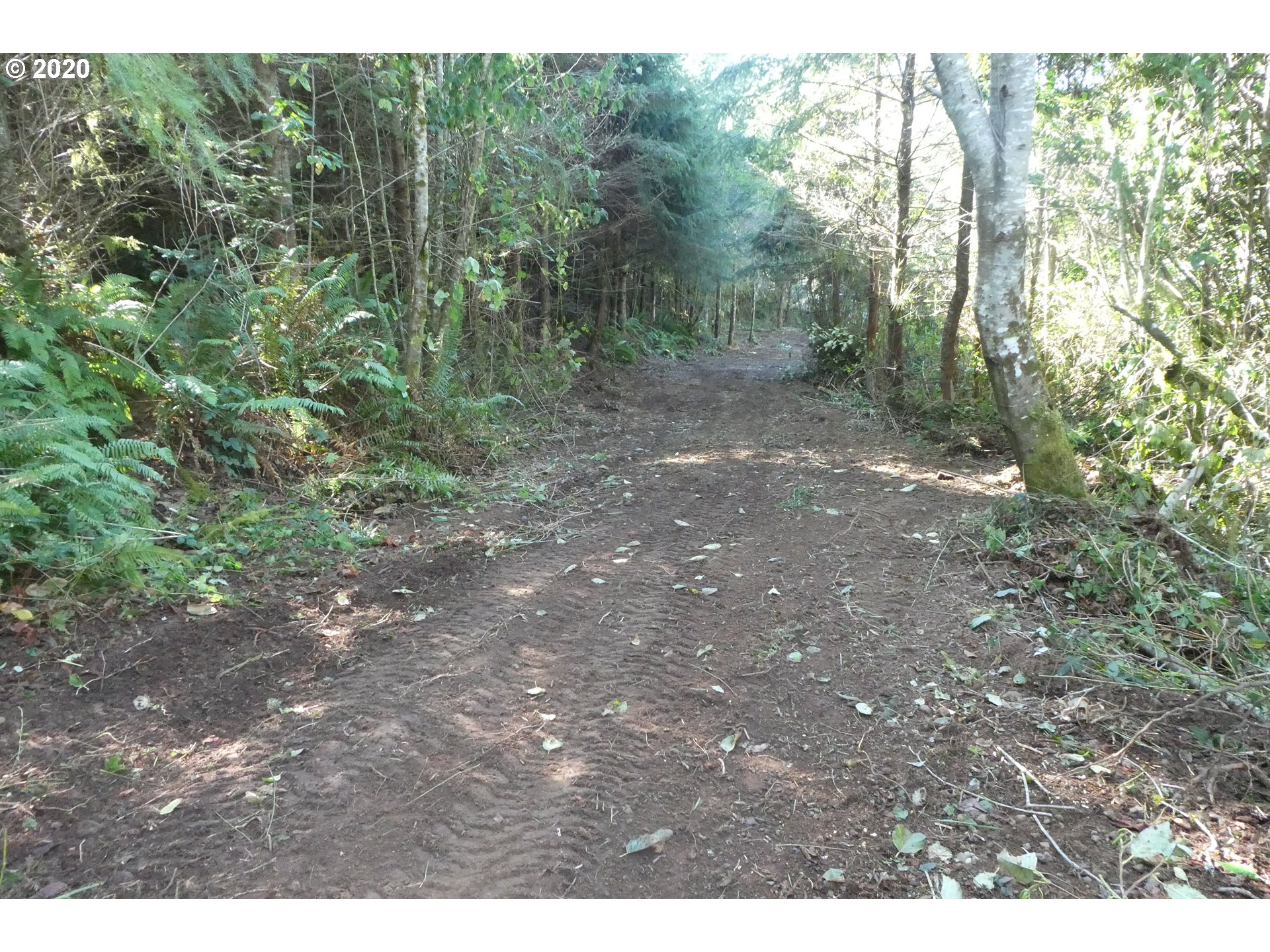 Coy Creek Road, Unit 605 Gold Beach, OR 97444 - Photo 10 of 32 Gallery Image 10