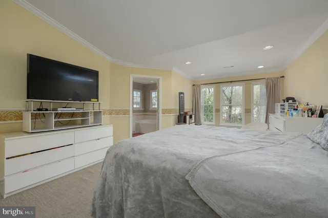 a view of a forest filled with trees