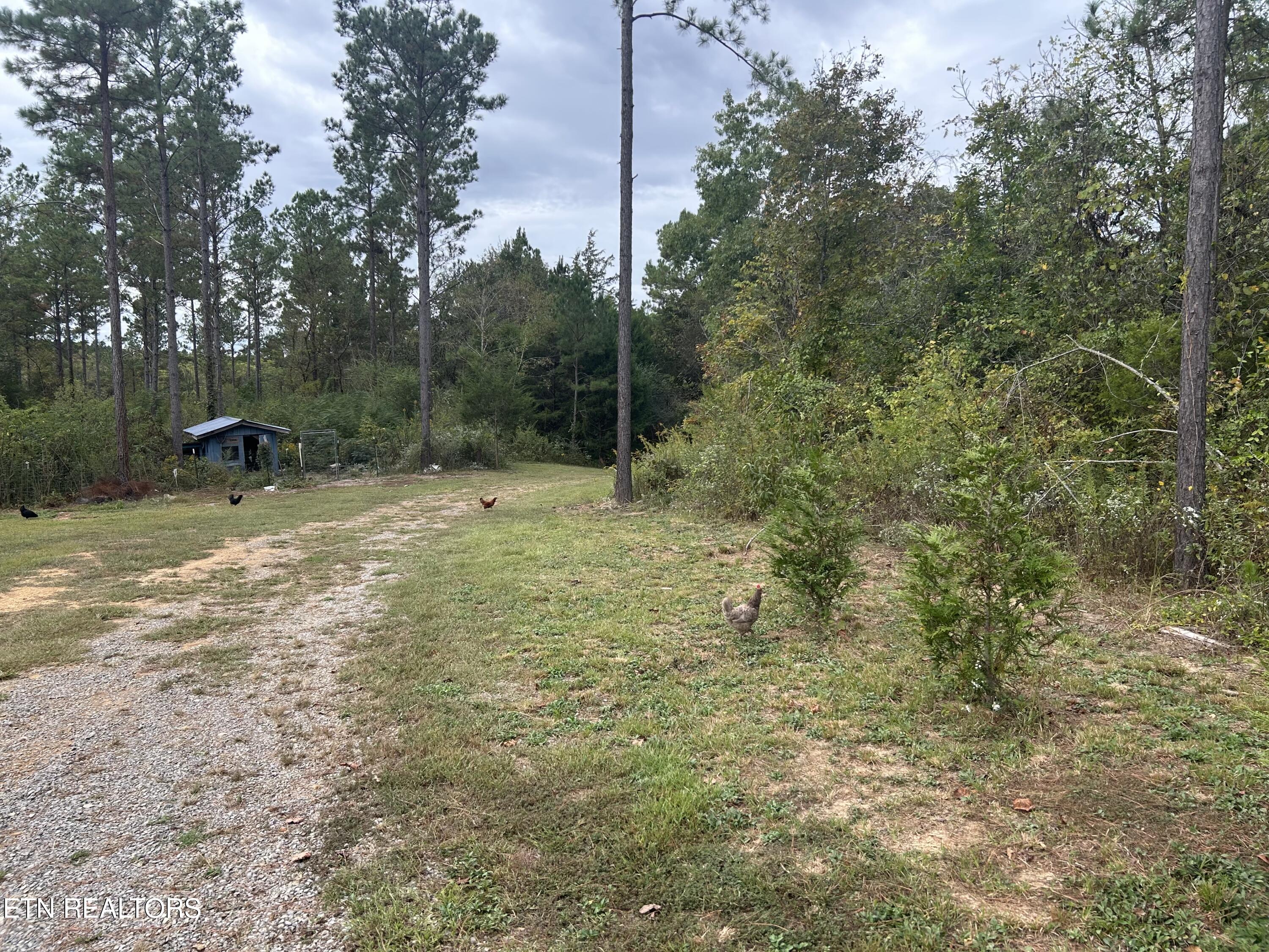 145 Pinhook Road Calhoun, TN 37309 - Photo 15 of 25 IMG_2564 - Copy