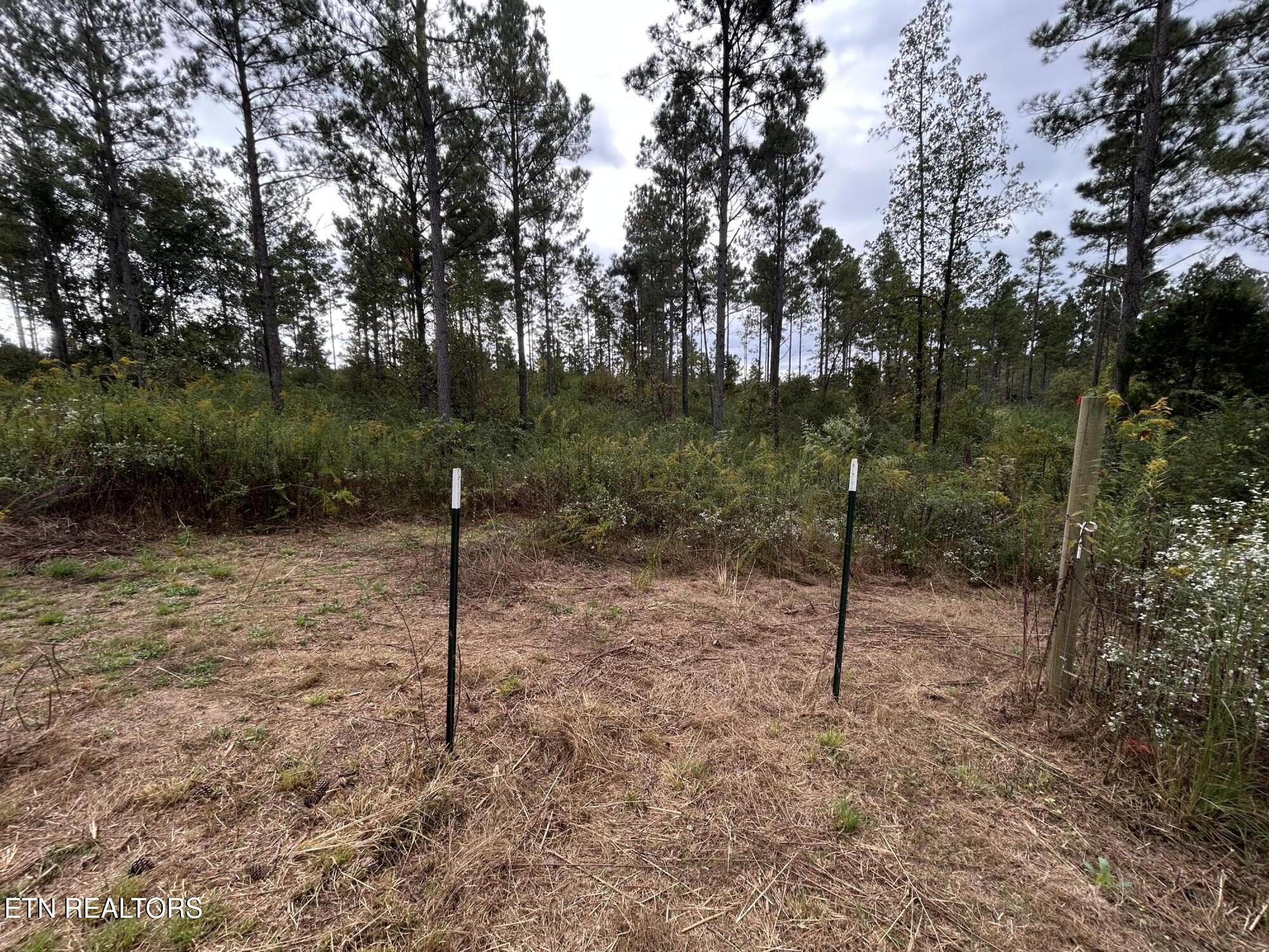 145 Pinhook Road Calhoun, TN 37309 - Photo 17 of 25 IMG_2578 - Copy