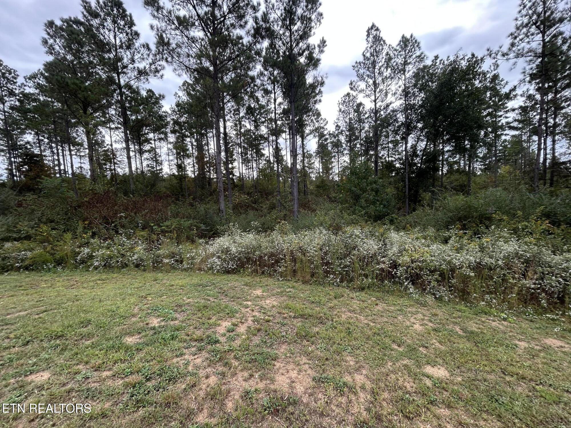 145 Pinhook Road Calhoun, TN 37309 - Photo 18 of 25 IMG_2581