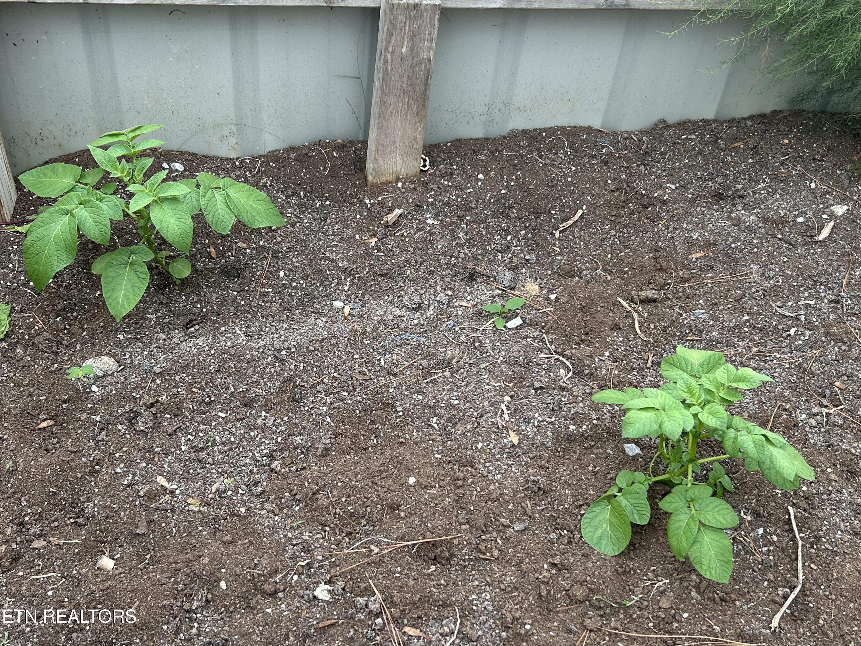 145 Pinhook Road Calhoun, TN 37309 - Photo 22 of 25 IMG_2594