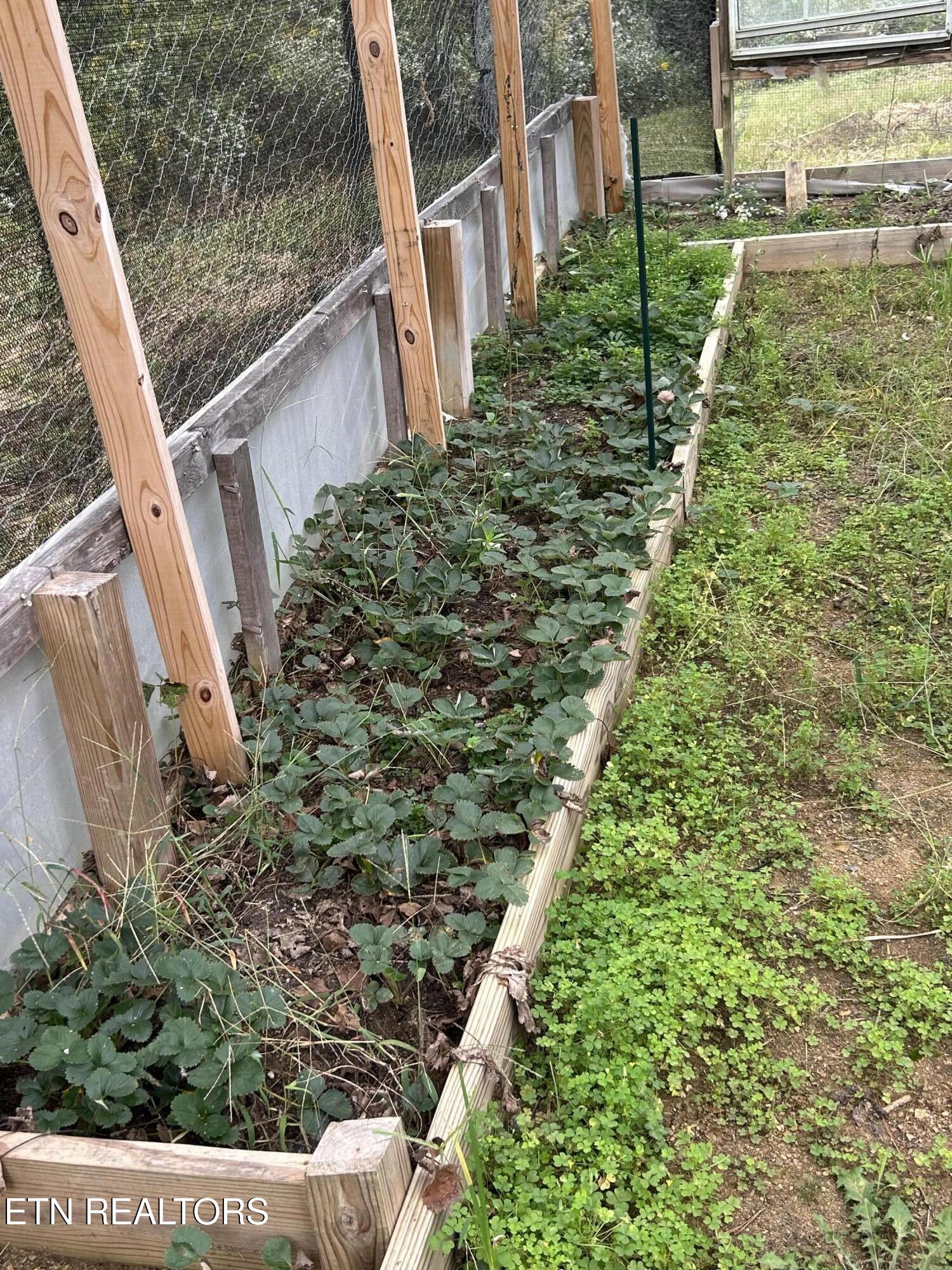 145 Pinhook Road Calhoun, TN 37309 - Photo 23 of 25 IMG_2600