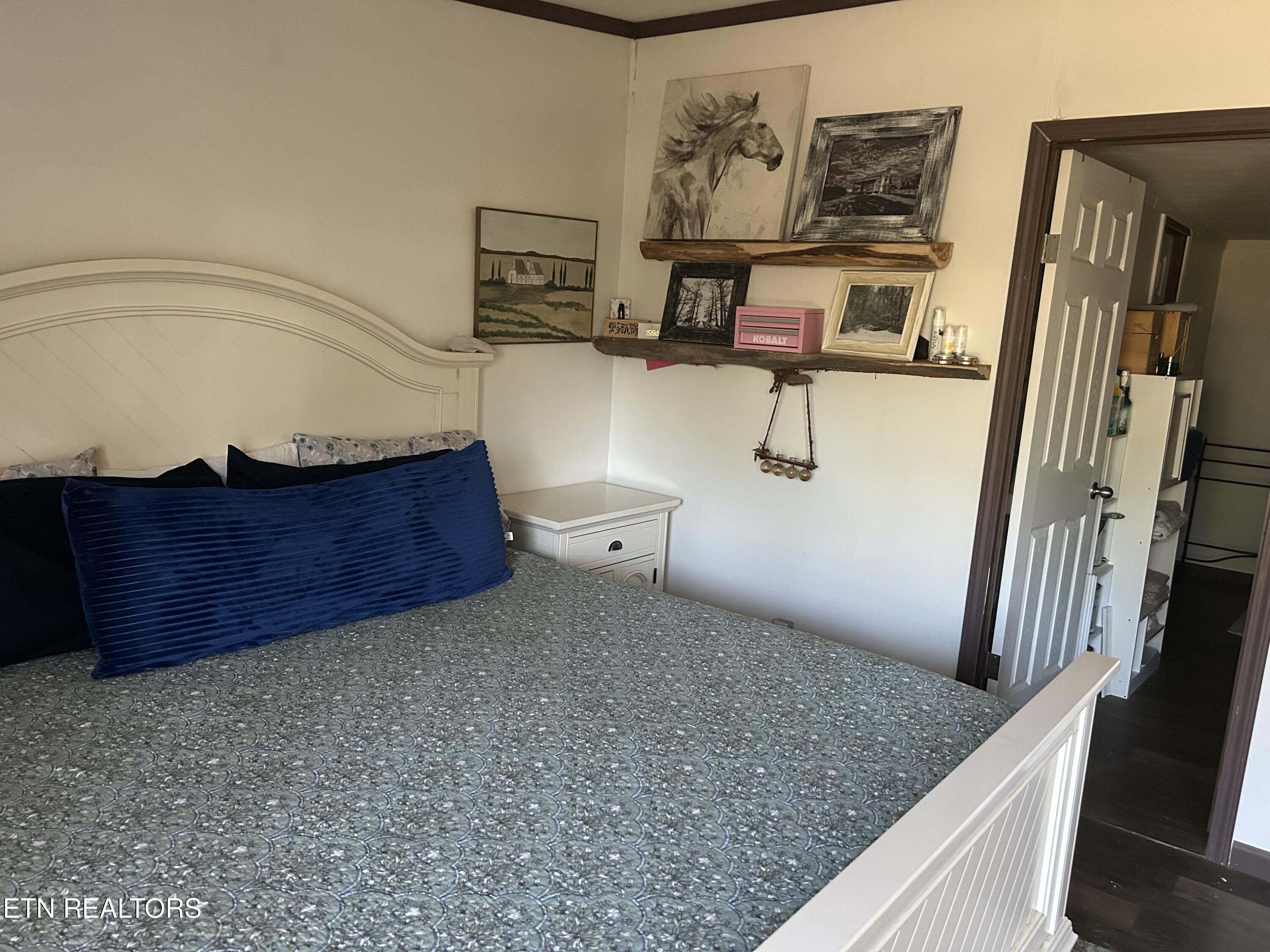 145 Pinhook Road Calhoun, TN 37309 - Photo 7 of 25 IMG_2634