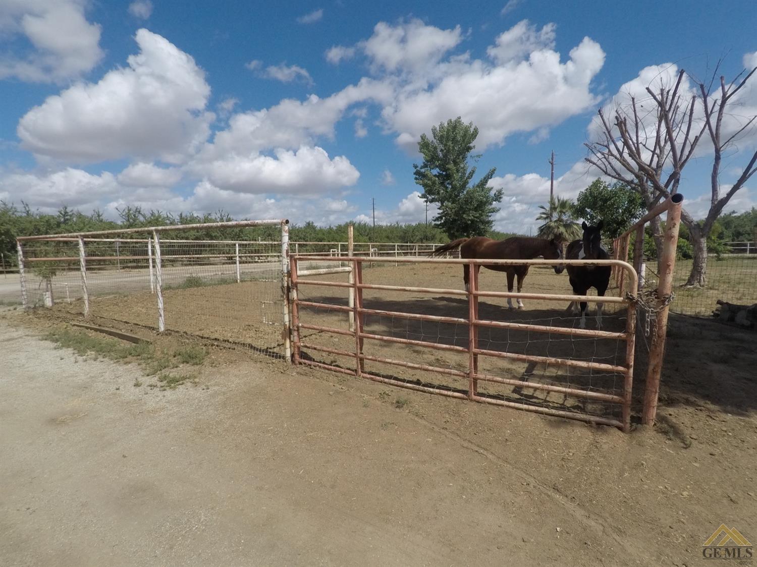 27249 Snow Road Bakersfield, CA 93314 - Photo 21 of 24