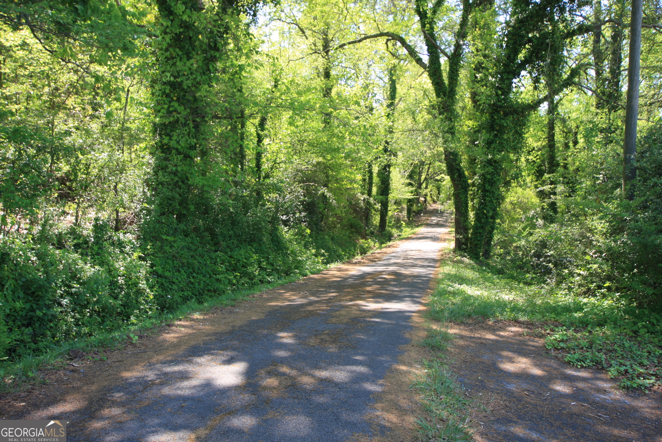 0 Glover Street Rome, GA 30161 - Photo 3 of 7 a view of a yard with plants and a trees
