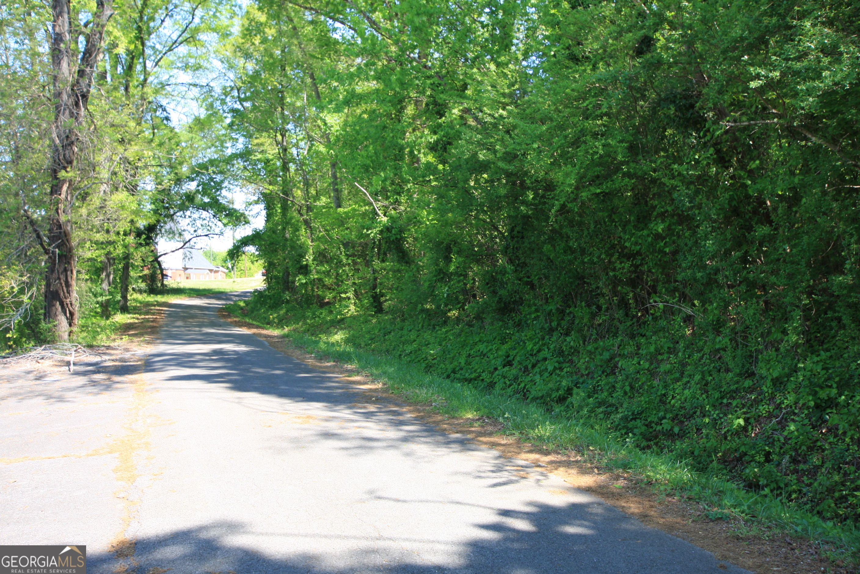 0 Glover Street Rome, GA 30161 - Photo 4 of 7 a view of a yard with plants and trees beside of it