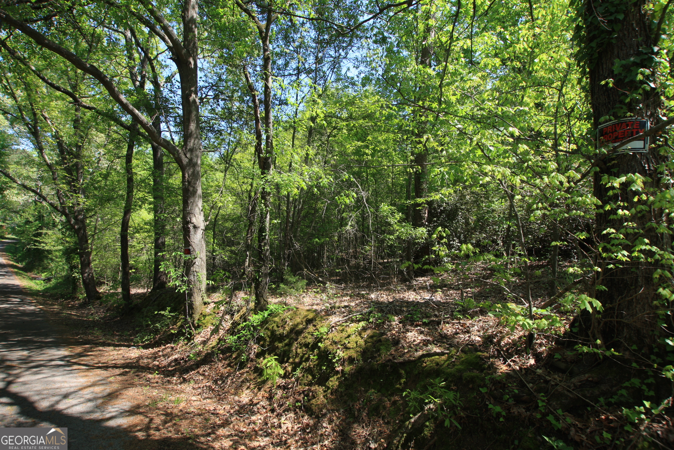 0 Glover Street Rome, GA 30161 - Photo 7 of 7 a view of a forest with trees