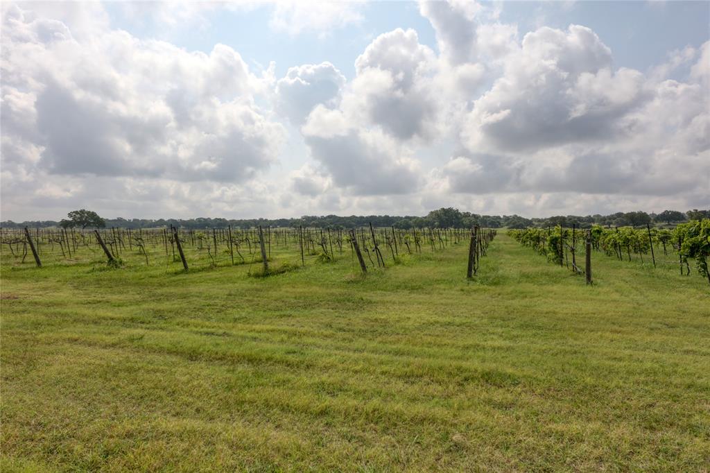 115 Strada Luca Florence, TX 76527 - Photo 7 of 25 a view of an outdoor space and a yard