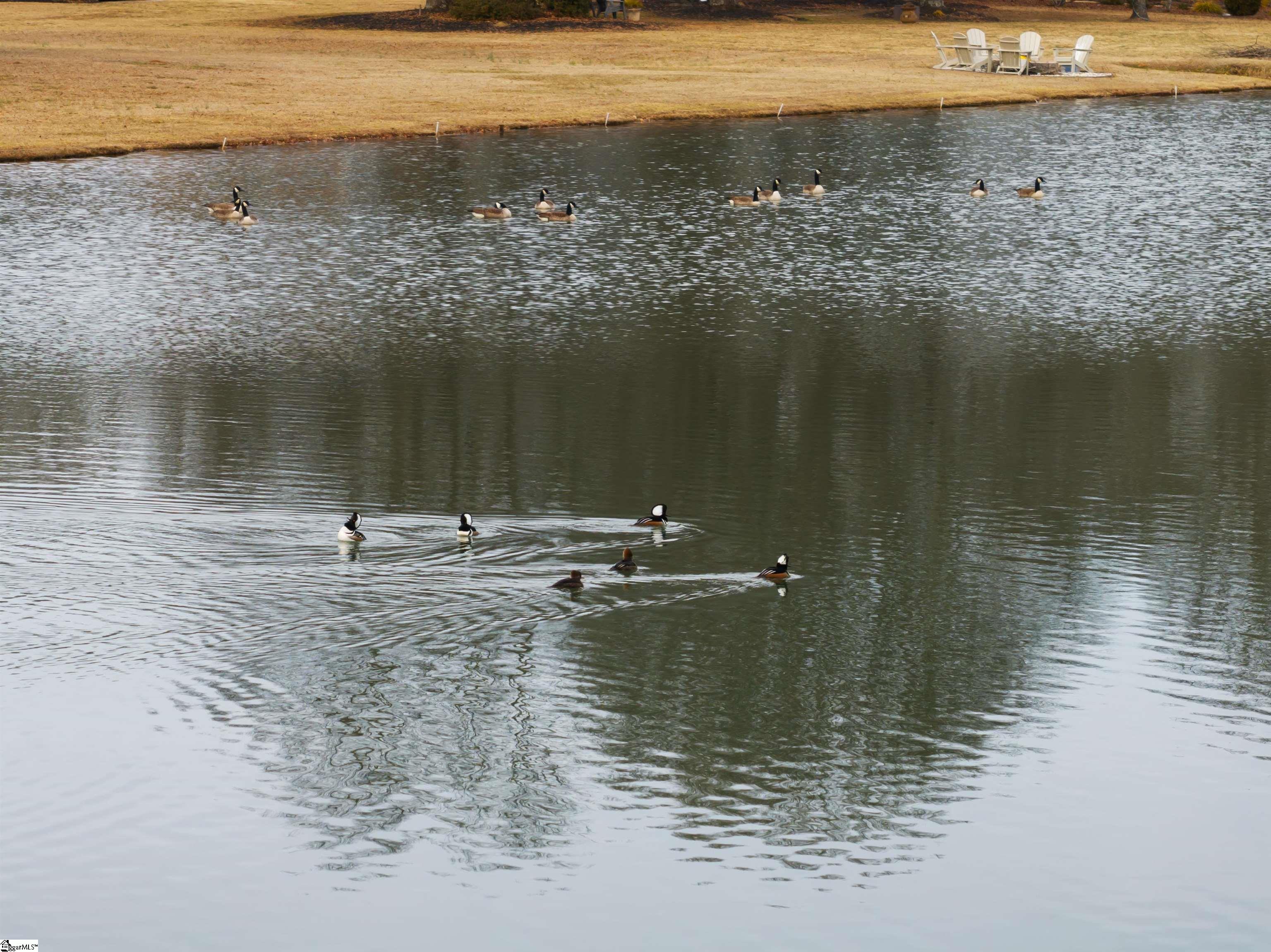 430 Winesap Road Duncan, SC 29334 - Photo 41 of 42