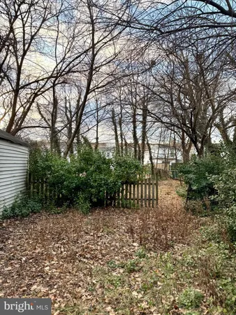 a view of backyard with a garden and trees
