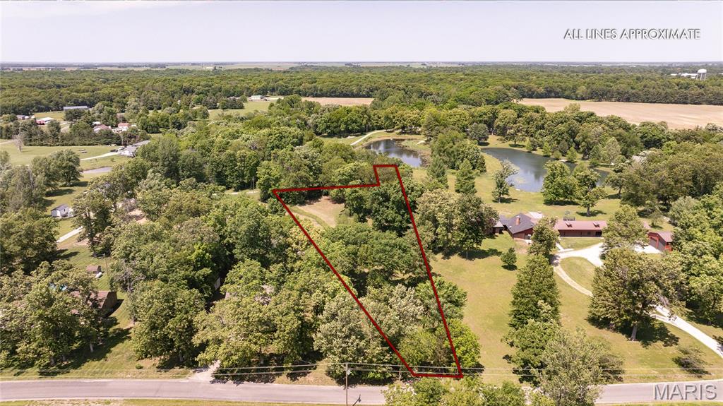 0 Gun Club Road Brighton, IL 62012 - Photo 2 of 12