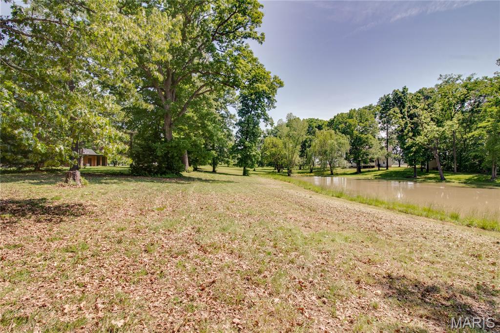 0 Gun Club Road Brighton, IL 62012 - Photo 7 of 12