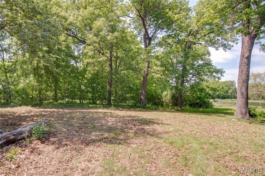 0 Gun Club Road Brighton, IL 62012 - Photo 10 of 12