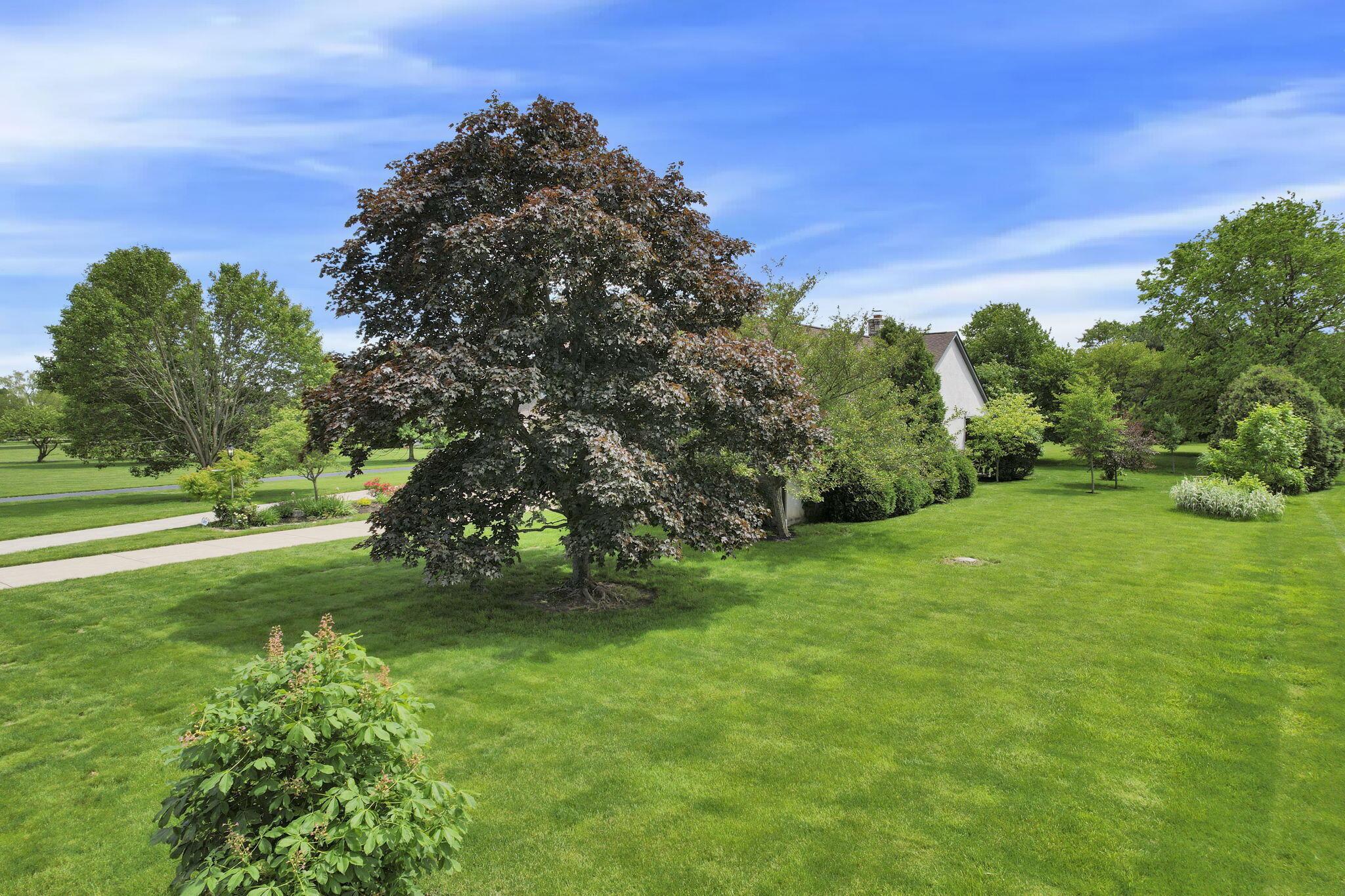 3171 Orders Road Grove City, OH 43123 - Photo 76 of 95 76-web-or-mls-DJI_0893