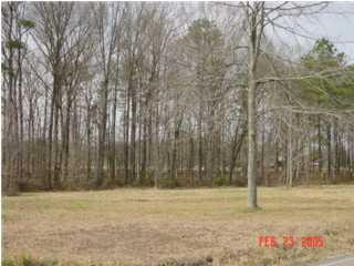 35 Southeast Hunt Road Cleveland, TN 37323 - Photo 1 of 3 Primary Photo