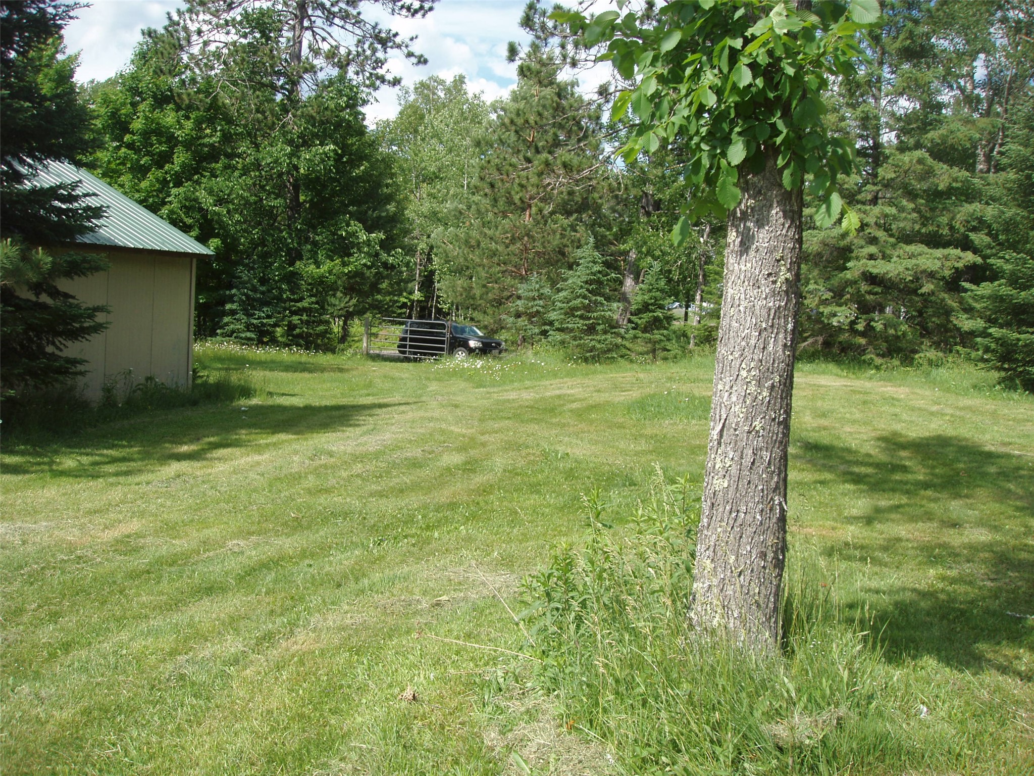 80521 Bear Lake Road Butternut, WI 54514 - Photo 8 of 28