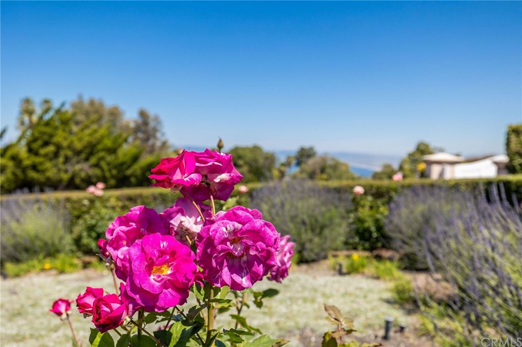 1300 Granvia Altamira Palos Verdes Estates, CA 90274 - Photo 57 of 60 a view of a flower