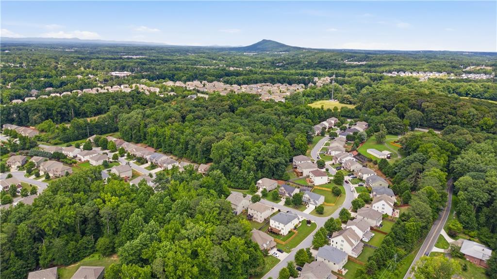 5825 Willow Oak Pass Cumming, GA 30040 - Photo 46 of 55 a view of a city with mountain