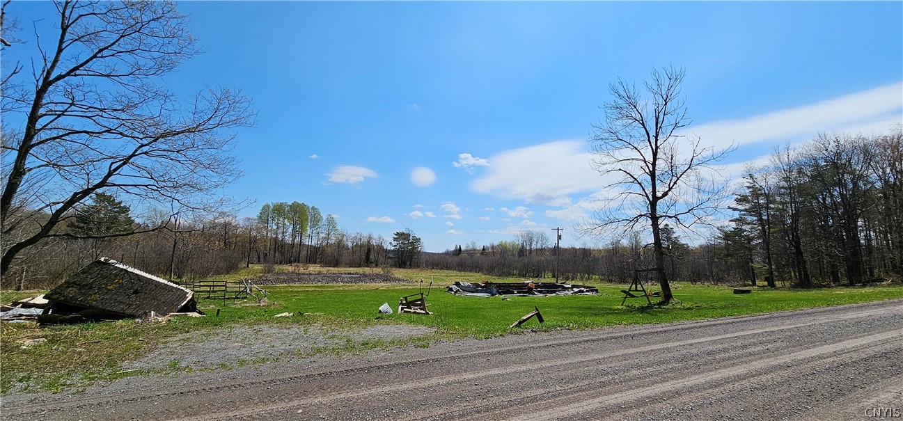 8098 Mc Gowan Road Pinckney, NY 13626 - Photo 2 of 7