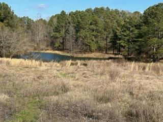 0 Busby Church Road Nauvoo, AL 35578 - Photo 16 of 24 Gallery Image 16
