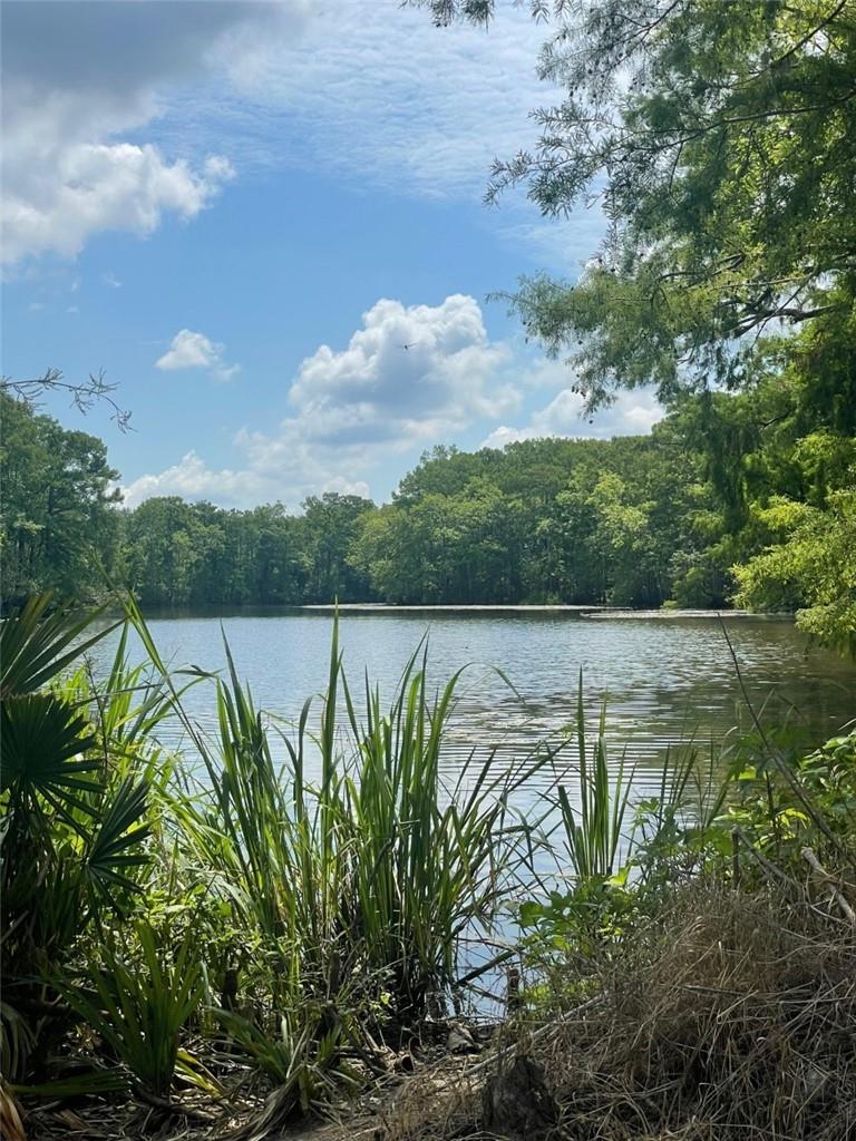 Goodman Rd Lake Lake Charles, LA 70615 - Photo 3 of 13