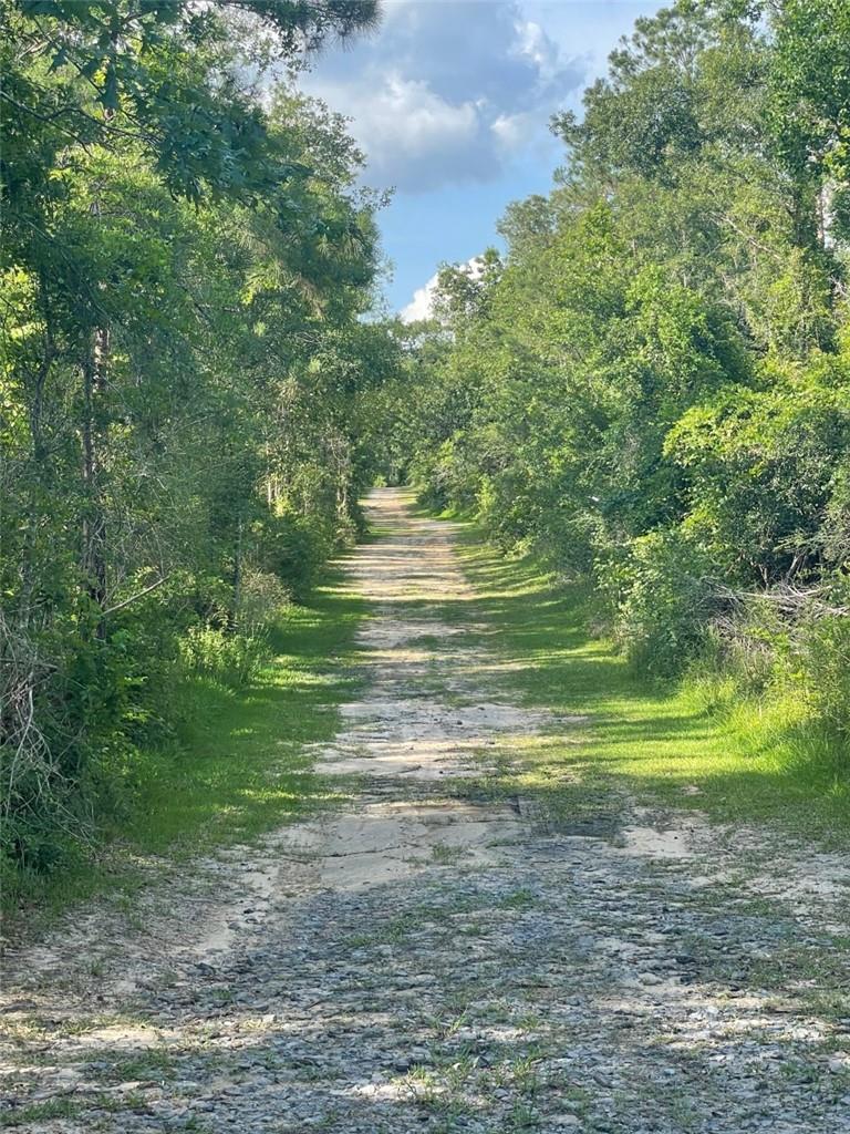Goodman Rd Lake Lake Charles, LA 70615 - Photo 5 of 13
