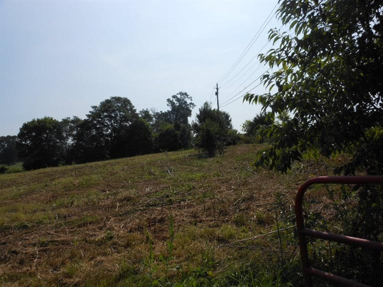 656 Old Delaplain Road Georgetown, KY 40324 - Photo 8 of 8 Photo 8