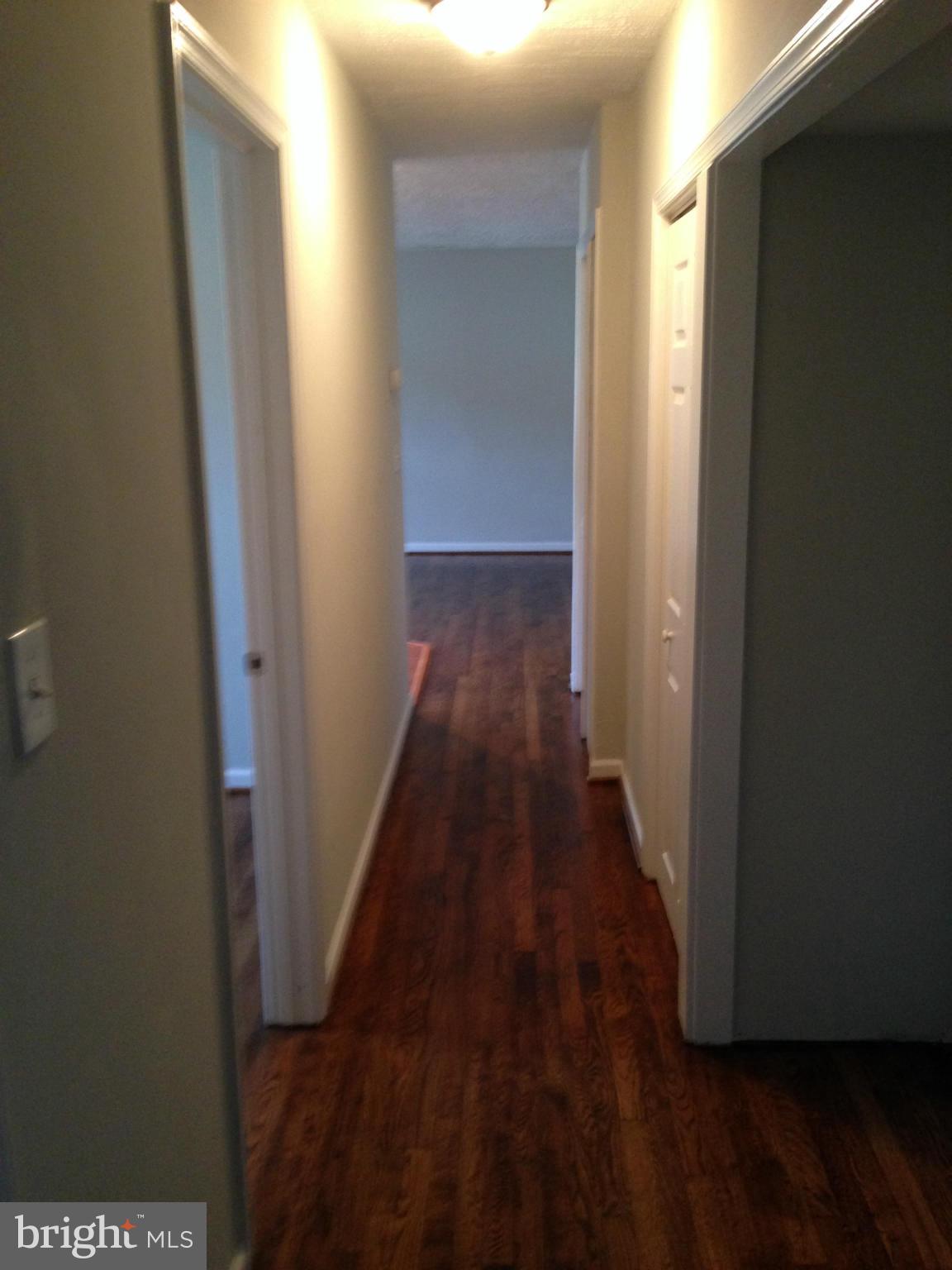 44 East Reed Avenue Alexandria, VA 22305 - Photo 9 of 12 Interior (General)