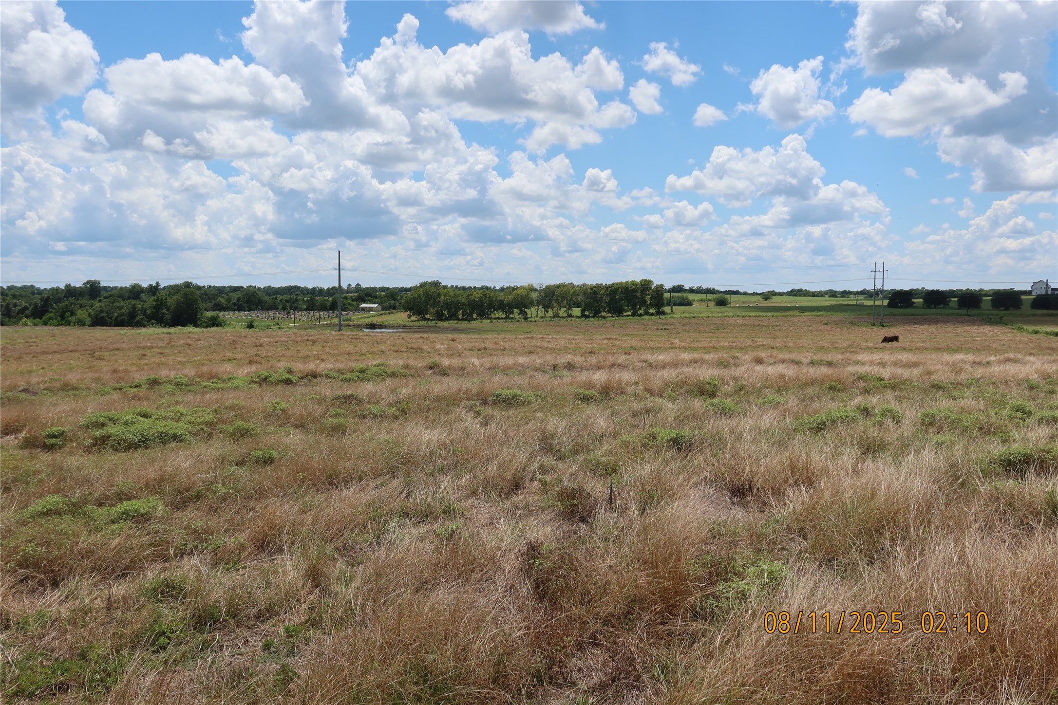 0 Sempronius Road Chappell Hill, TX 77426 - Photo 24 of 25 a view of lake