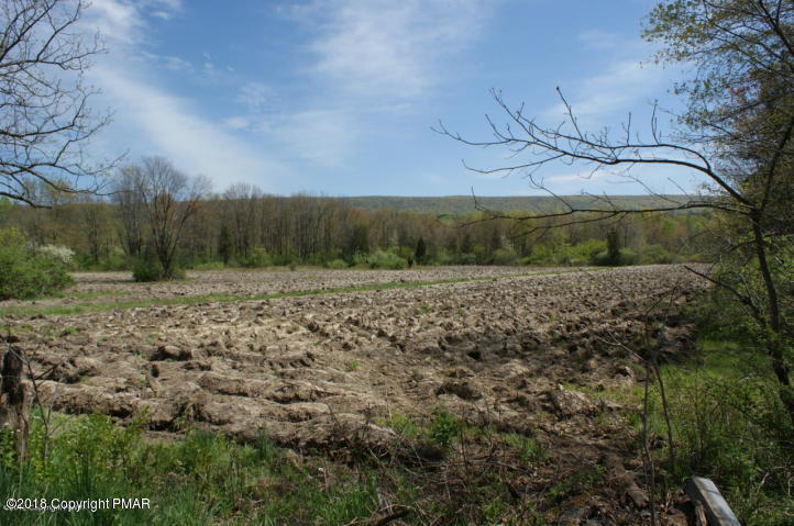 443 Bossardsville Road Stroudsburg, PA 18360 - Photo 40 of 43 a view of a yard