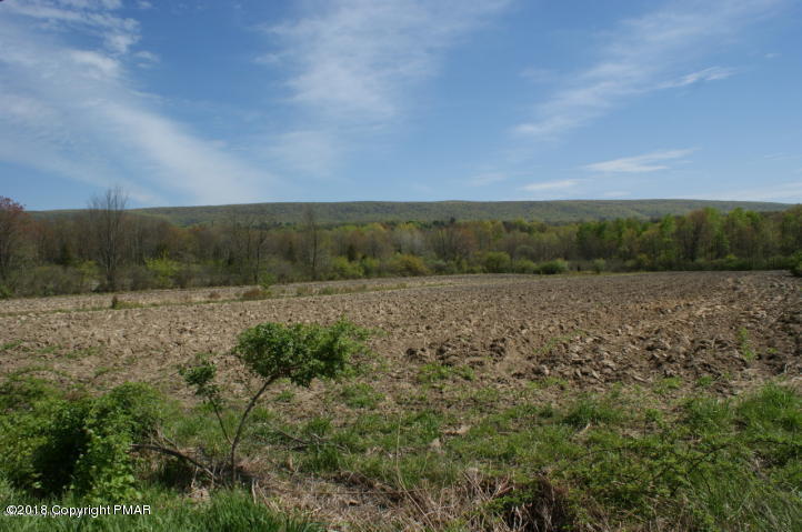 443 Bossardsville Road Stroudsburg, PA 18360 - Photo 42 of 43 a view of a field with trees in background