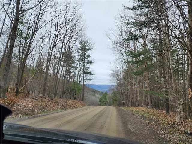 $125,000 | 6220 Feenaughty Hill Road, Unit S, Howard, NY 14823