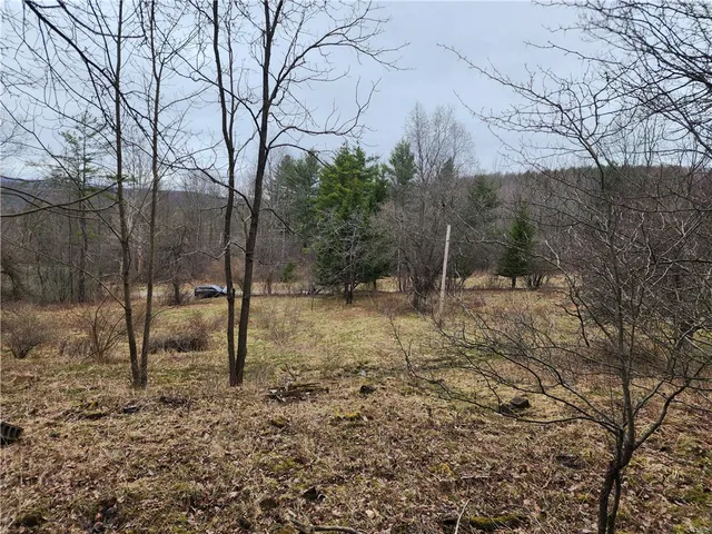 $125,000 | 6220 Feenaughty Hill Road, Unit S, Howard, NY 14823