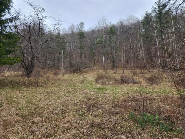 $125,000 | 6220 Feenaughty Hill Road, Unit S, Howard, NY 14823