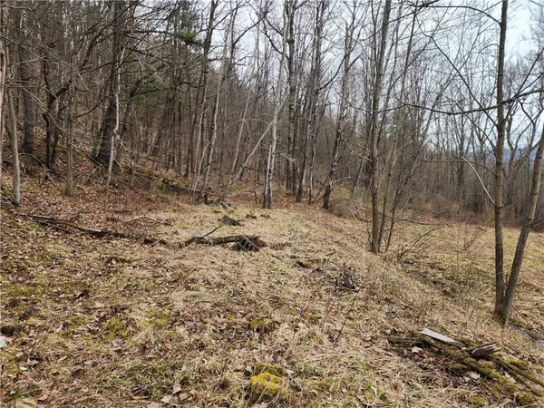 $125,000 | 6220 Feenaughty Hill Road, Unit S, Howard, NY 14823