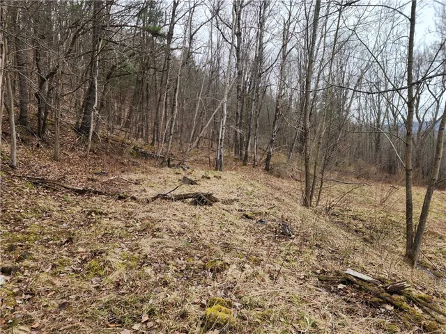 $125,000 | 6220 Feenaughty Hill Road, Unit S, Howard, NY 14823