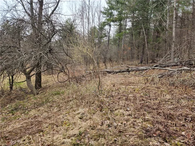 $125,000 | 6220 Feenaughty Hill Road, Unit S, Howard, NY 14823