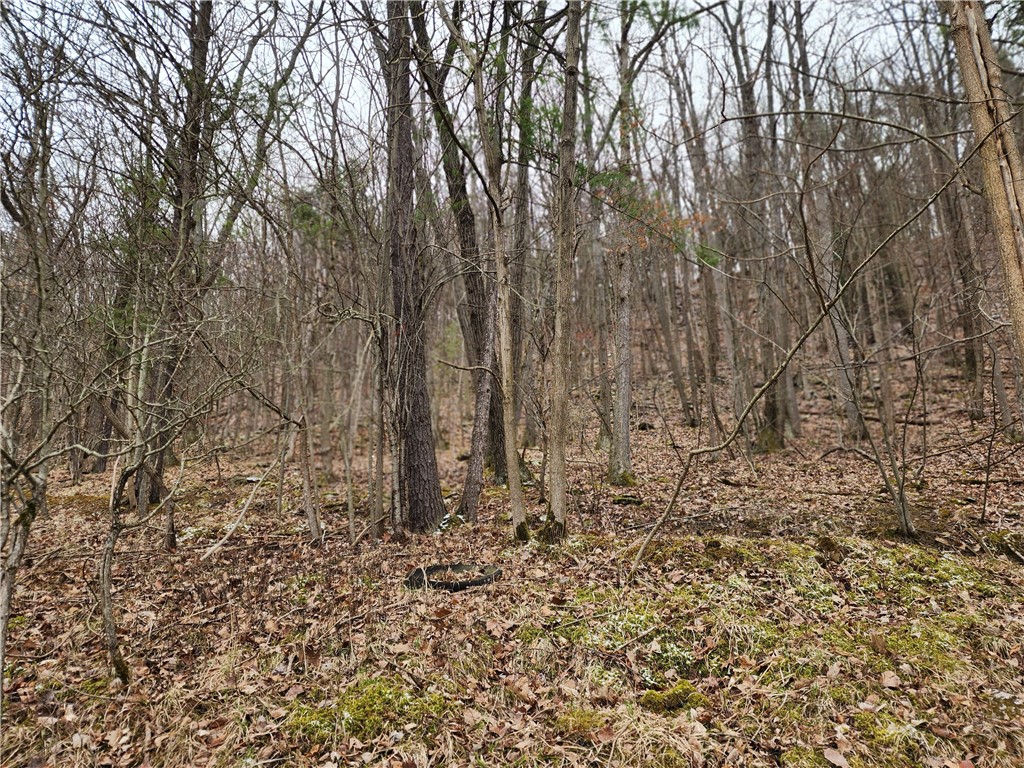 6220 Feenaughty Hill Road, Unit S Howard, NY 14823 - Photo 8 of 17