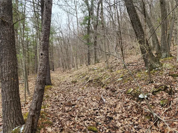 $125,000 | 6220 Feenaughty Hill Road, Unit S, Howard, NY 14823