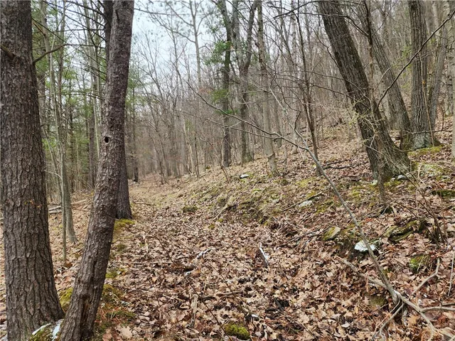 $125,000 | 6220 Feenaughty Hill Road, Unit S, Howard, NY 14823