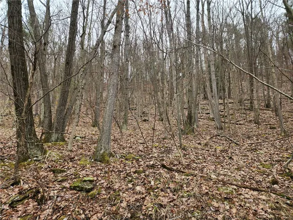 $125,000 | 6220 Feenaughty Hill Road, Unit S, Howard, NY 14823