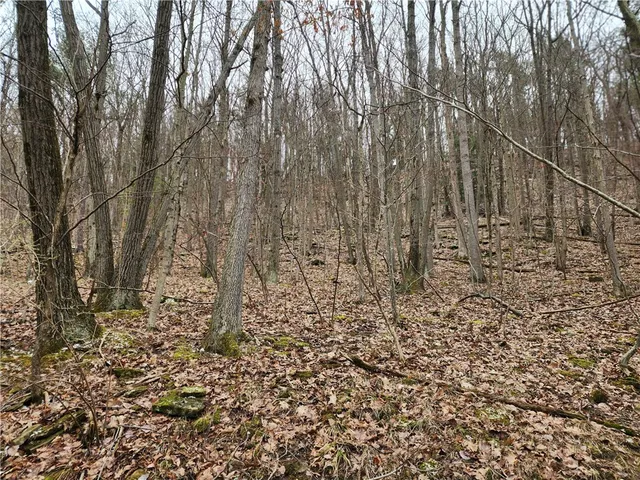 $125,000 | 6220 Feenaughty Hill Road, Unit S, Howard, NY 14823