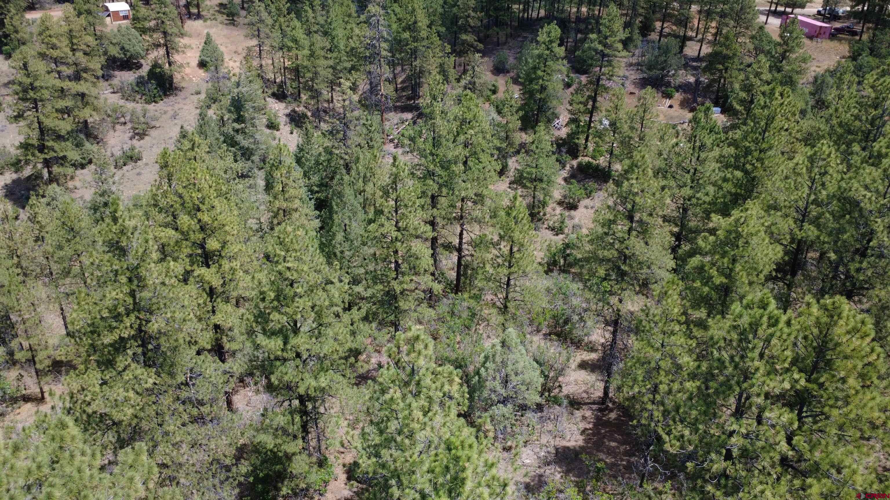121 Engineer Point Pagosa Springs, CO 81147 - Photo 32 of 43